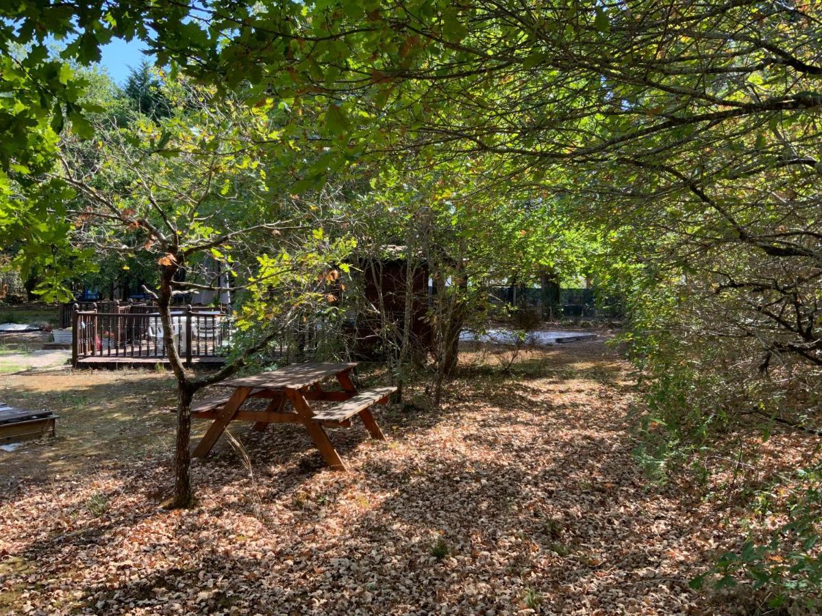 Domaine De Labelo Bed and Breakfast Commensacq Eksteriør billede